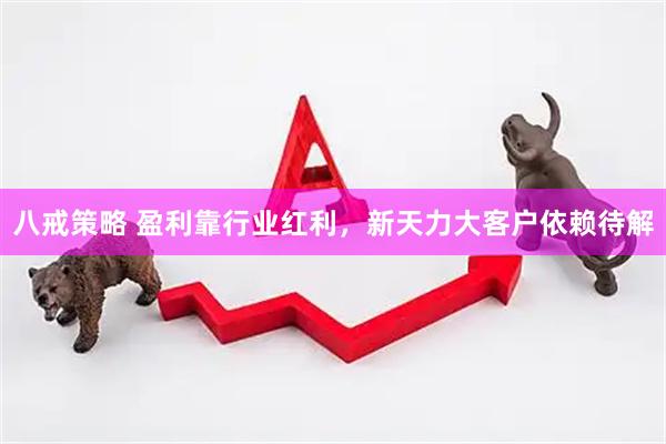 八戒策略 盈利靠行业红利，新天力大客户依赖待解