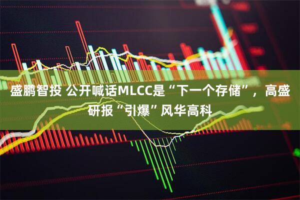 盛鹏智投 公开喊话MLCC是“下一个存储”，高盛研报“引爆”风华高科