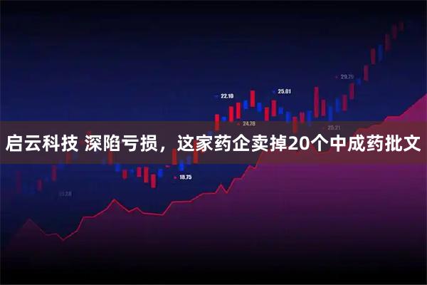 启云科技 深陷亏损,这家药企卖掉20个中成药批文