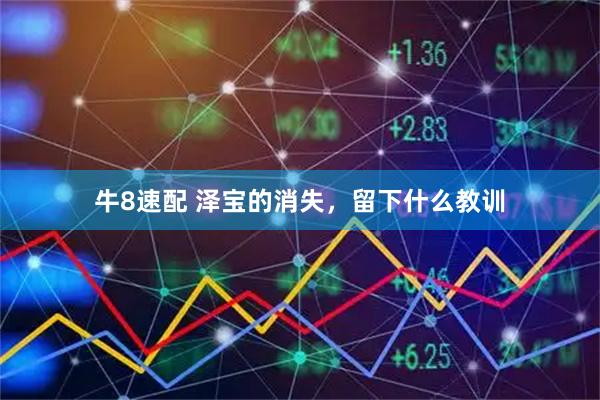 牛8速配 泽宝的消失，留下什么教训